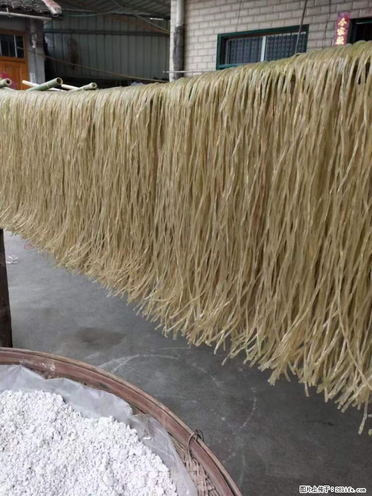 【灌阳正宗红薯粉】美女家里自己做的，干净卫生，假一赔十，价格合理，抢购电话：13737312895 - 美食天地 - 禹州生活社区 - 禹州28生活网 yuzhou.28life.net