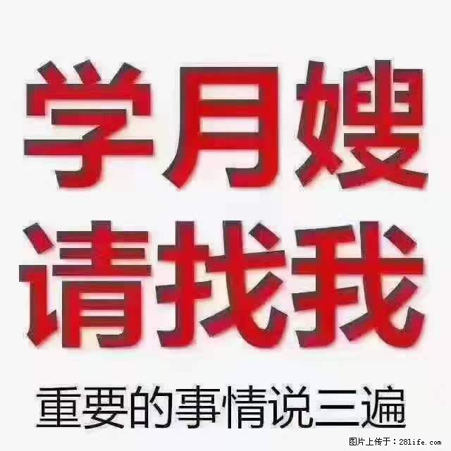 为什么要学习月嫂，育婴师？ - 其他广告 - 广告专区 - 禹州分类信息 - 禹州28生活网 yuzhou.28life.net