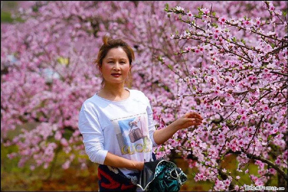 【春天，广西桂林灌阳县向您发出邀请！】官庄村有个醉美的桃花园 - 游山玩水 - 禹州生活社区 - 禹州28生活网 yuzhou.28life.net
