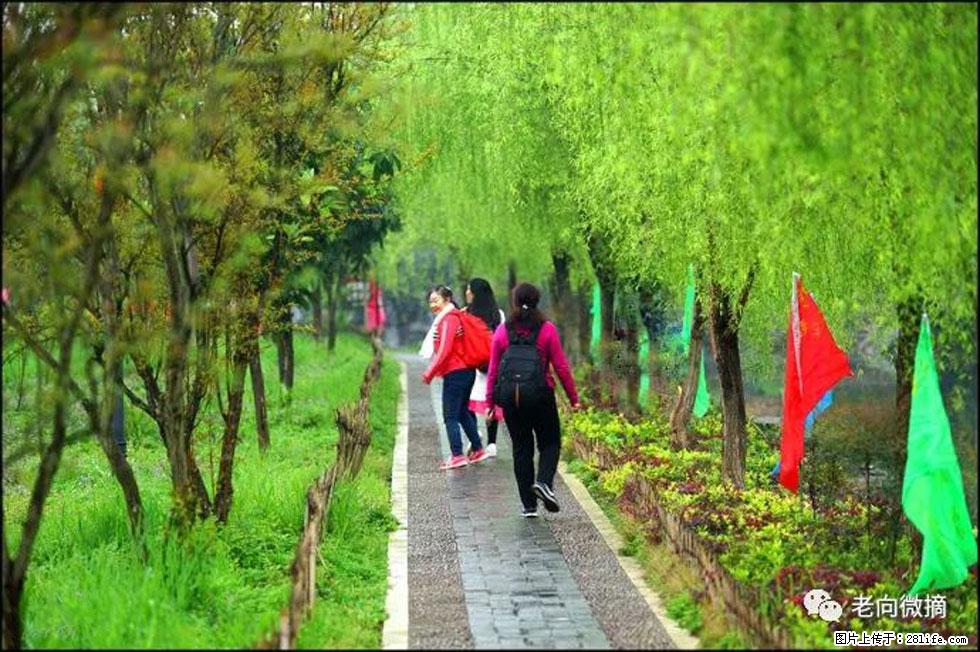 【春天，广西桂林灌阳县向您发出邀请！】江口老街又逢春 - 游山玩水 - 禹州生活社区 - 禹州28生活网 yuzhou.28life.net
