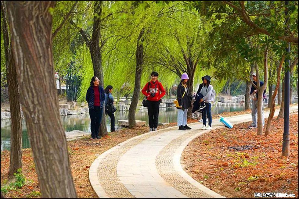 【春天，广西桂林灌阳县向您发出邀请！】江口老街又逢春 - 游山玩水 - 禹州生活社区 - 禹州28生活网 yuzhou.28life.net