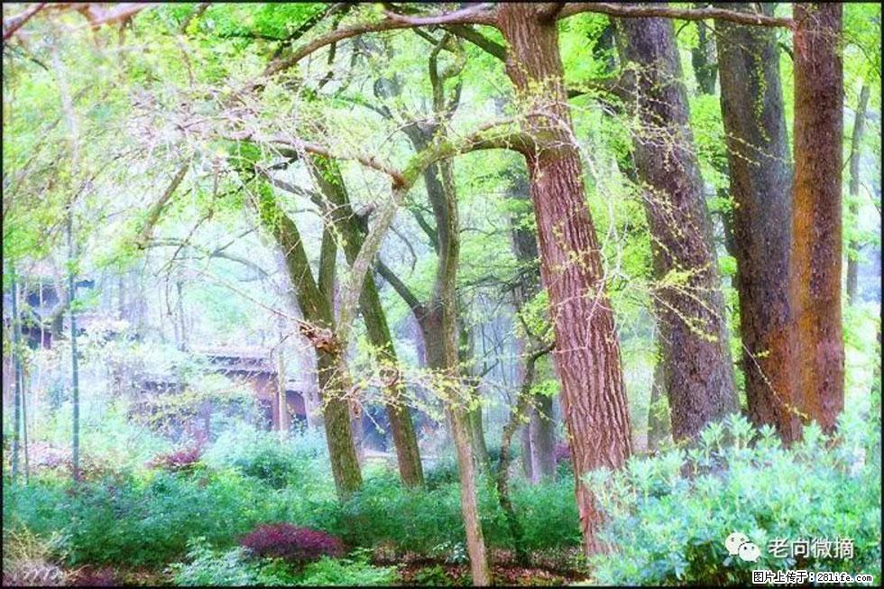 【春天，广西桂林灌阳县向您发出邀请！】在小龙村与春天约会 - 游山玩水 - 禹州生活社区 - 禹州28生活网 yuzhou.28life.net