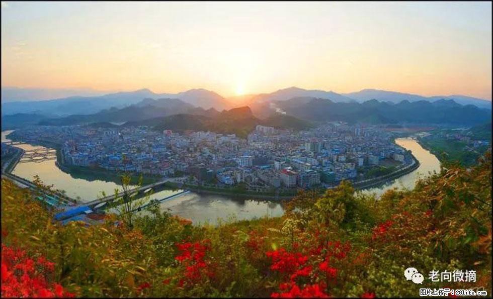 【春天，广西桂林灌阳县向您发出邀请！】登麒麟山，相约映山红 - 游山玩水 - 禹州生活社区 - 禹州28生活网 yuzhou.28life.net