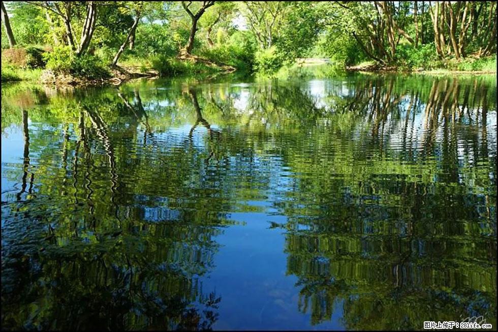 【春天，广西桂林灌阳县向您发出邀请！】熊家寨湿地公园 - 游山玩水 - 禹州生活社区 - 禹州28生活网 yuzhou.28life.net