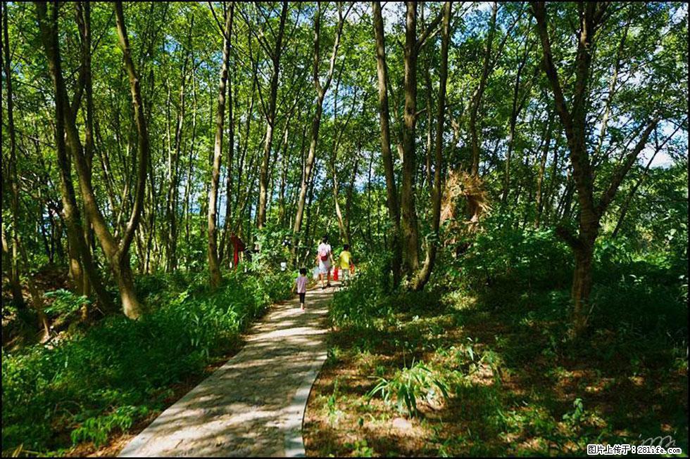 【春天，广西桂林灌阳县向您发出邀请！】熊家寨湿地公园 - 游山玩水 - 禹州生活社区 - 禹州28生活网 yuzhou.28life.net
