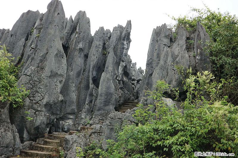 桂林旅游名城景点：灌阳文市石林 - 游山玩水 - 禹州生活社区 - 禹州28生活网 yuzhou.28life.net