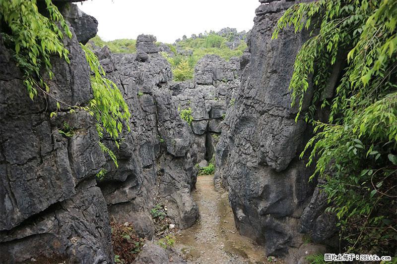 桂林旅游名城景点：灌阳文市石林 - 游山玩水 - 禹州生活社区 - 禹州28生活网 yuzhou.28life.net