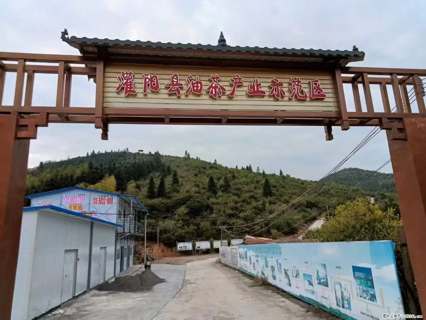 【灌阳县油茶产业示范区】一个有着充实的精神生活的人，对待身外之物自会有一种淡泊的态度 - 美食天地 - 禹州生活社区 - 禹州28生活网 yuzhou.28life.net