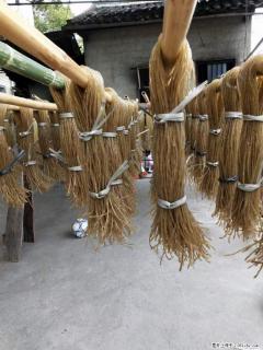 【灌阳正宗红薯粉】美女家里自己做的，干净卫生，假一赔十，价格合理，抢购电话：13737312895 - 禹州28生活网 yuzhou.28life.net