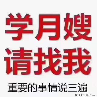 为什么要学习月嫂，育婴师？ - 禹州28生活网 yuzhou.28life.net