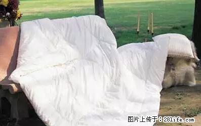 被子有异味？只要这样做，比晒太阳还强100倍！ - 家居生活 - 禹州生活社区 - 禹州28生活网 yuzhou.28life.net