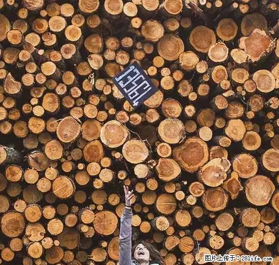 辞掉工作周游世界？现在他们在洗厕所…… - 游山玩水 - 禹州生活社区 - 禹州28生活网 yuzhou.28life.net
