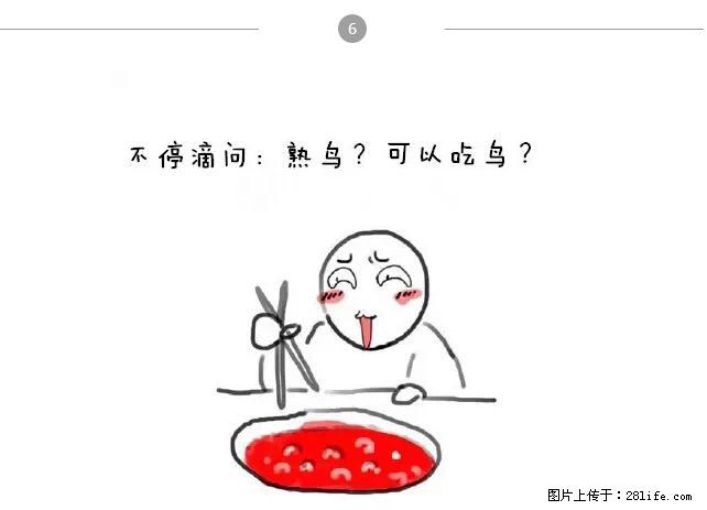 千万不要和这9种哈卵一起吃火锅！ - 美食天地 - 禹州生活社区 - 禹州28生活网 yuzhou.28life.net