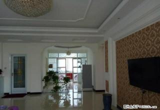 鑫鑫小区 电梯双气 拎包入住 停车方便 - 禹州28生活网 yuzhou.28life.net