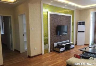 东区精装两室，家具家电齐全，电梯双气 - 禹州28生活网 yuzhou.28life.net