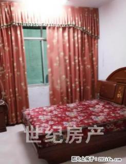 一站家属院所有家具家电齐全 - 禹州28生活网 yuzhou.28life.net