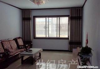 友谊附近小区内精装修套房全新家具家电 - 禹州28生活网 yuzhou.28life.net