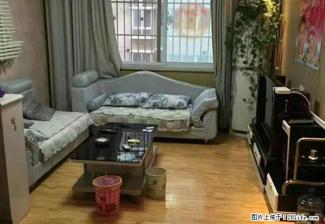 东区学府春天小区精装双气所有配置齐全 - 房屋出租 - 房屋租售 - 禹州分类信息 - 禹州28生活网 yuzhou.28life.net