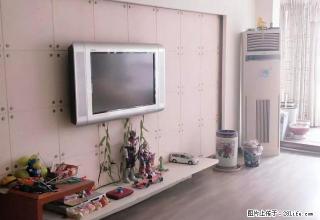 博雅苑小区三室二厅精装家电齐全 - 禹州28生活网 yuzhou.28life.net