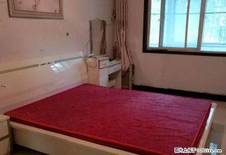 泰山庙街小区三室精装修家电齐全 - 禹州28生活网 yuzhou.28life.net