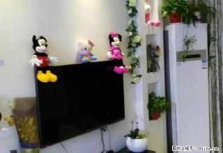 东区尚品1698精装二室家电齐全出租 - 禹州28生活网 yuzhou.28life.net