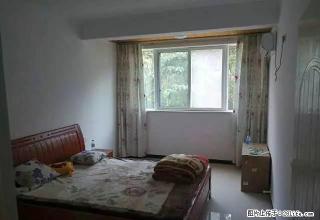东区体育场附近家电齐全出租 - 禹州28生活网 yuzhou.28life.net