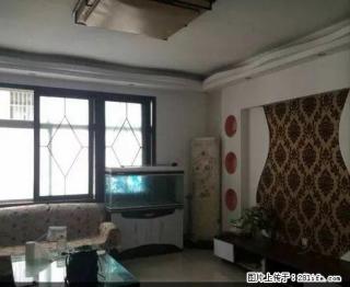 四高附近 简装两室 家具家电齐全 拎包入住 - 禹州28生活网 yuzhou.28life.net