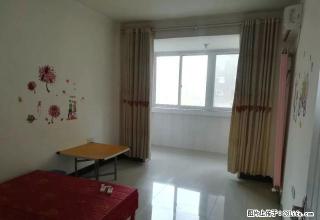 东区学府春天 有家具家电 通暖气 让你冬天不再冷 低房租 - 禹州28生活网 yuzhou.28life.net