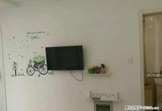 尚品1698 暖气套房家具家电齐全 - 禹州28生活网 yuzhou.28life.net