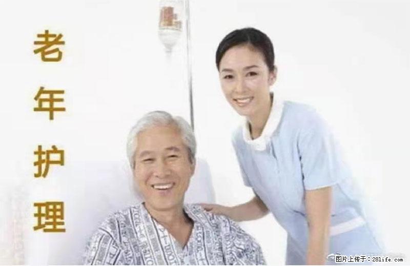 上海国企养老院，星级酒店环境，招聘养老护工 - 职场交流 - 禹州生活社区 - 禹州28生活网 yuzhou.28life.net