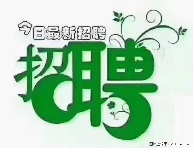 【招聘摄像师】待遇：试用期6000元/月，转正7000元/月+五险一金+餐补+节日福利+奖金 - 职场交流 - 禹州生活社区 - 禹州28生活网 yuzhou.28life.net