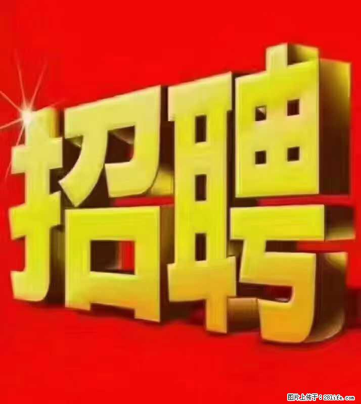 【东莞市威萨电子科技有限公司】公司直招：外贸业务、仓管员、跟单文员、普工 - 职场交流 - 禹州生活社区 - 禹州28生活网 yuzhou.28life.net