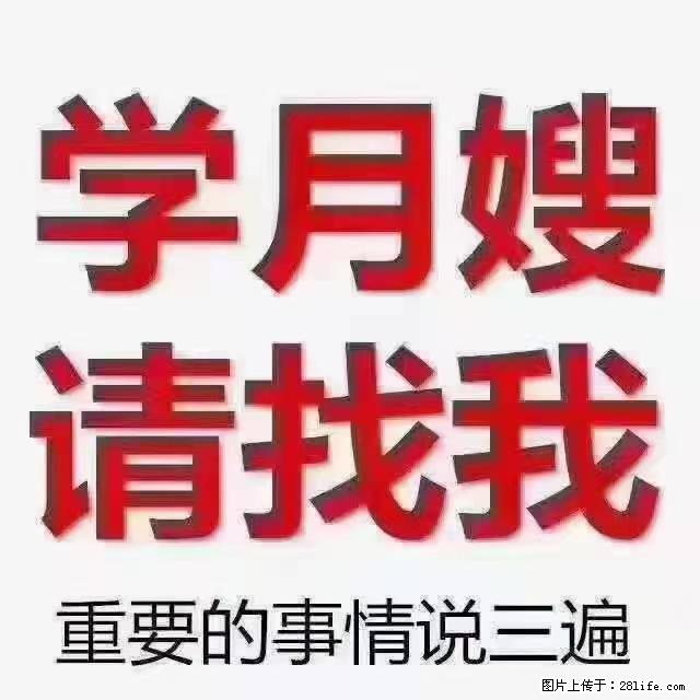 【招聘】月嫂，上海徐汇区 - 职场交流 - 禹州生活社区 - 禹州28生活网 yuzhou.28life.net