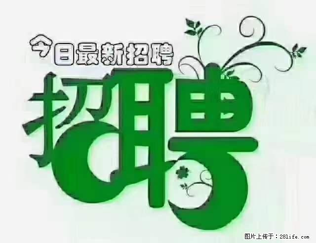 上海青浦区招仓管 - 职场交流 - 禹州生活社区 - 禹州28生活网 yuzhou.28life.net