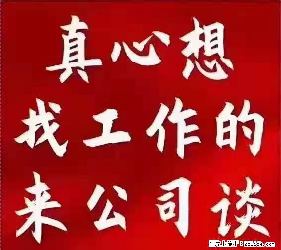 【上海】国企，医院招两名男保安，55岁以下，身高1.7米以上，无犯罪记录不良嗜好 - 职场交流 - 禹州生活社区 - 禹州28生活网 yuzhou.28life.net