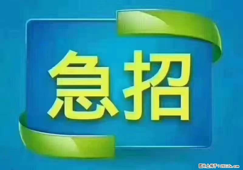 招出纳8000元/月，无证可以，要有相关经验，上海五险一金，包住，包工作餐，做六休一。 - 职场交流 - 禹州生活社区 - 禹州28生活网 yuzhou.28life.net