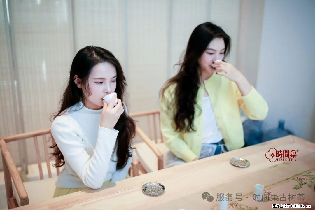 时间果百年古树龙珠普洱生茶 - 购物交流 - 禹州生活社区 - 禹州28生活网 yuzhou.28life.net