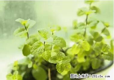 晕车、脚气、牙齿变黄、皮肤粗糙？学会这些三分钟搞定！ - 禹州生活资讯 - 禹州28生活网 yuzhou.28life.net