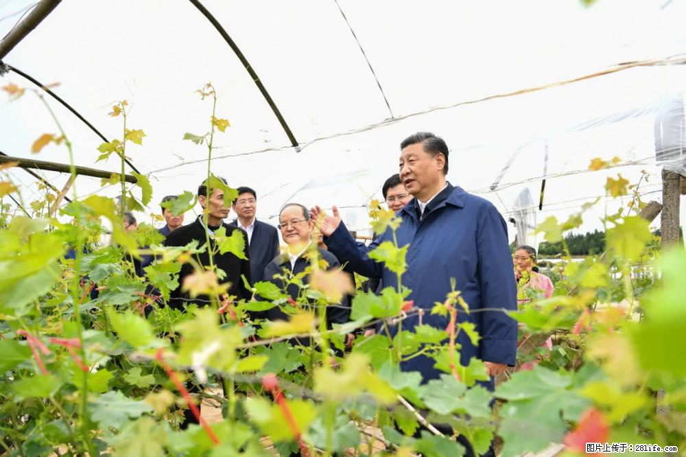 习近平赴广西考察调研 - 禹州生活资讯 - 禹州28生活网 yuzhou.28life.net