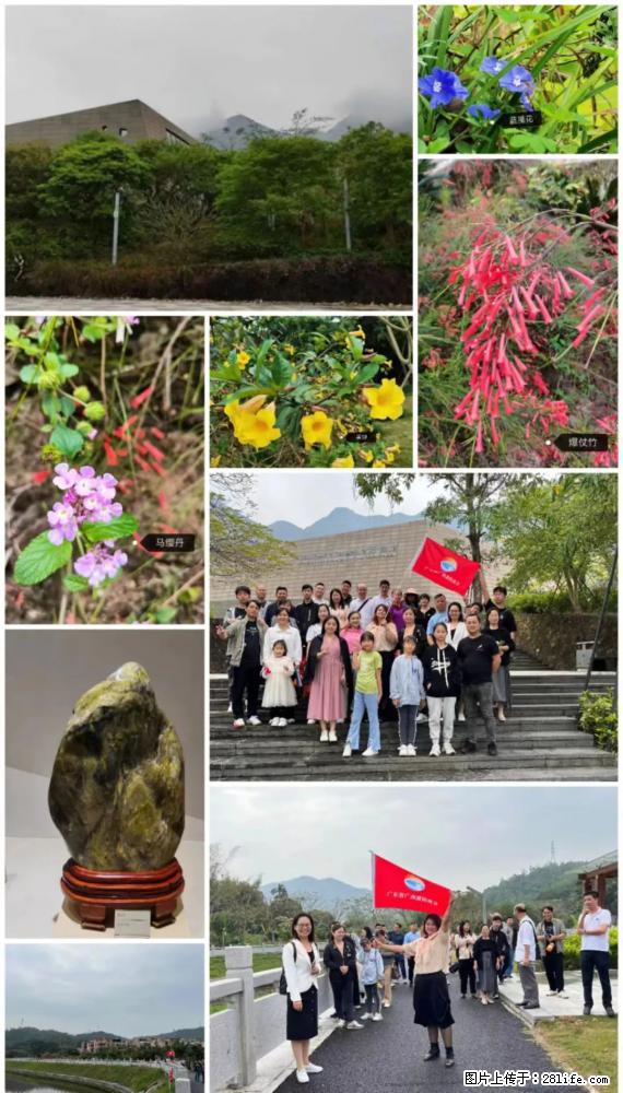 “粤灌文化 美好生活”油茶文化主题活动在广东深圳成功举办 - 禹州生活资讯 - 禹州28生活网 yuzhou.28life.net