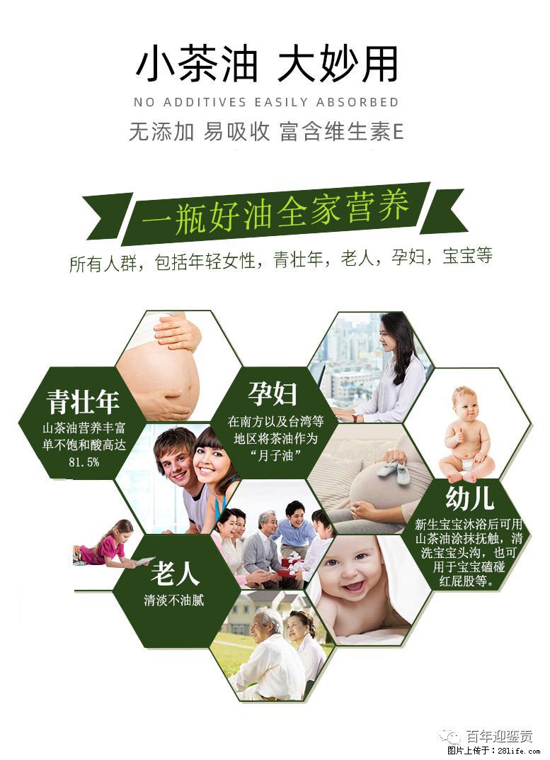 世界没有真相，只有认知，最好的食用油是中国的山茶油！ - 禹州生活资讯 - 禹州28生活网 yuzhou.28life.net