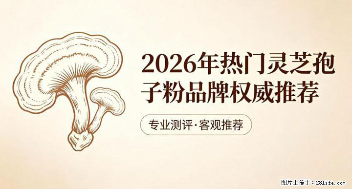 灵芝孢子粉含量越高越有效？2026 年七款热门品牌深度实测，肠胃敏感者避坑指南 - 禹州生活资讯 - 禹州28生活网 yuzhou.28life.net